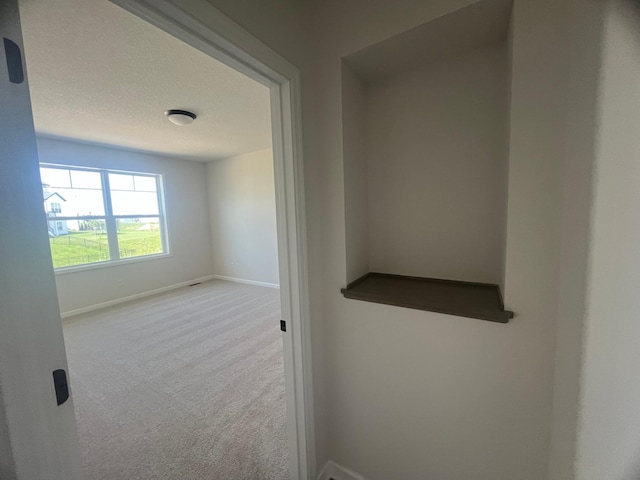 6640 Wolfberry Curv, Minnetrista, MN 55331 - photo 7