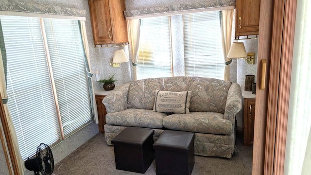 30821 Plumwood Trl, Breezy Point, MN 56472