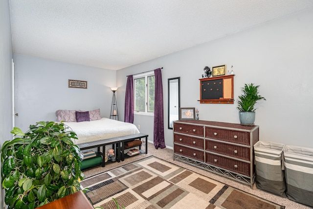 12233 191st Ave NW, Elk River, MN 55330 - bedroom with carpet floors