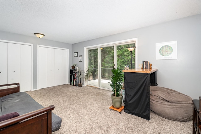 12233 191st Ave NW, Elk River, MN 55330 - living area with carpet flooring
