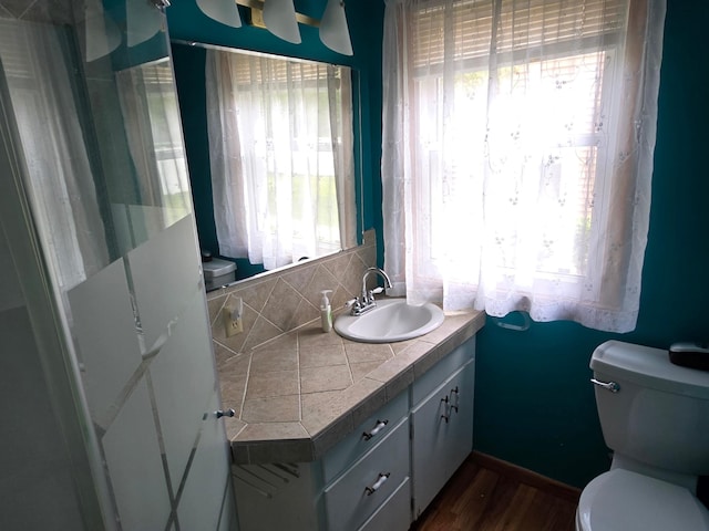 415 9th St N, Cannon Falls, MN 55009 - bathroom with vanity, healthy amount of natural light, toilet, and decorative backsplash