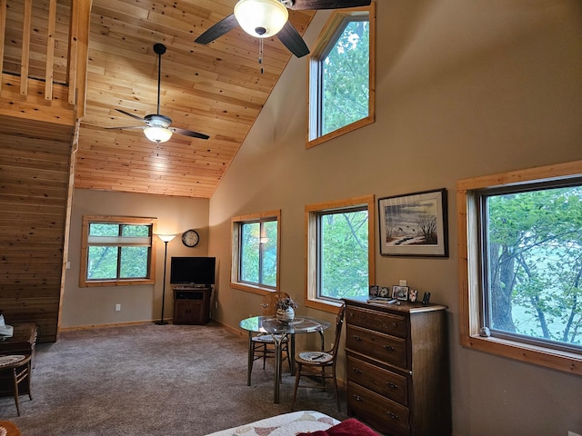 37791 Mallard Loop, Edna Twp, MN 56573 - photo 27