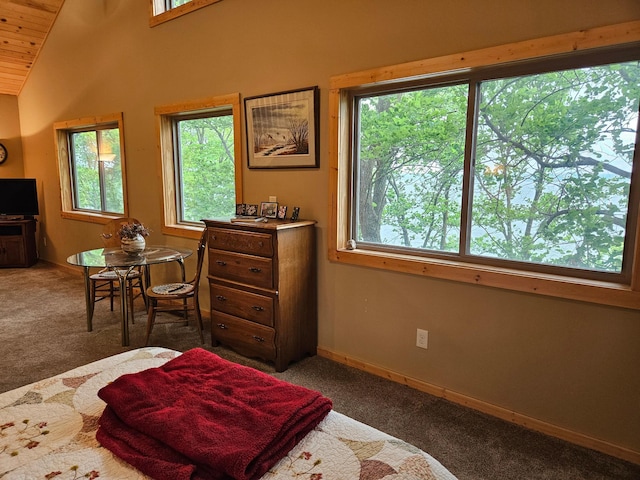 37791 Mallard Loop, Edna Twp, MN 56573 - photo 29