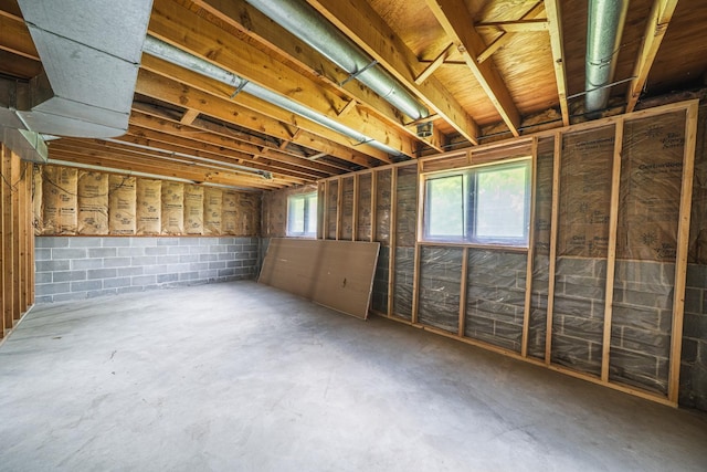 42174 Bur Oak Hills Loop, Pelican Twp, MN 56572 - view of below grade area