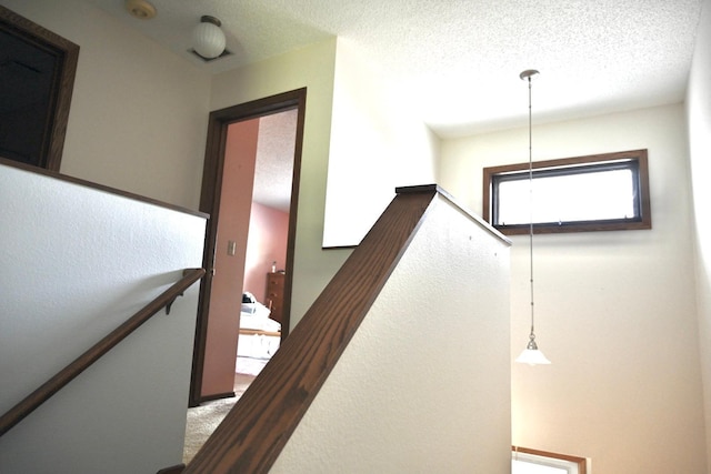 2514 Stearns Way, Saint Cloud, MN 56303 - photo 15