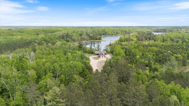 32305 Little E Lake Rd, Bigfork, MN 56628 - aerial view of a heavily wooded area and a nearby body of water