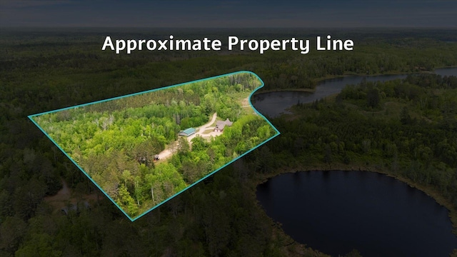 32305 Little E Lake Rd, Bigfork, MN 56628 - view of property location featuring a forest, a large body of water, and property boundaries highlighted
