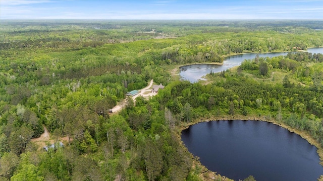 32305 Little E Lake Rd, Bigfork, MN 56628 - view of property location with a forest and a nearby body of water