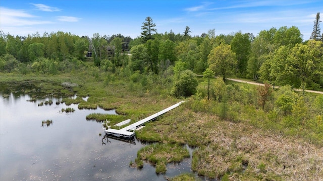 32305 Little E Lake Rd, Bigfork, MN 56628 - water view featuring a boat dock and a heavily wooded area