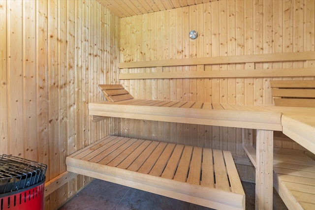 32305 Little E Lake Rd, Bigfork, MN 56628 - relaxing sauna / steam room featuring wood walls and wood ceiling