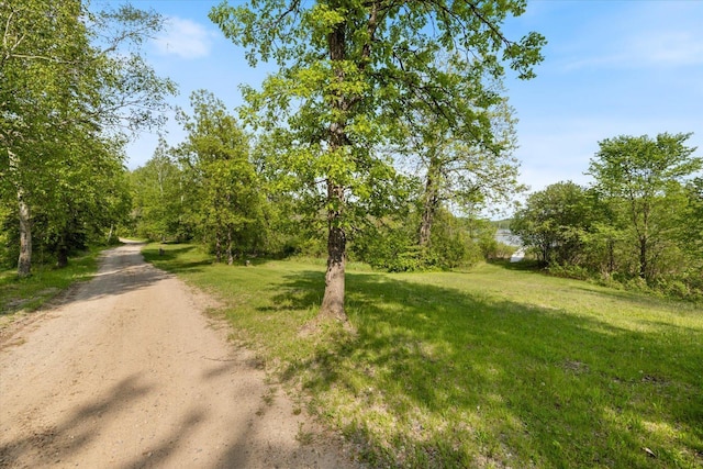 32305 Little E Lake Rd, Bigfork, MN 56628 - view of street