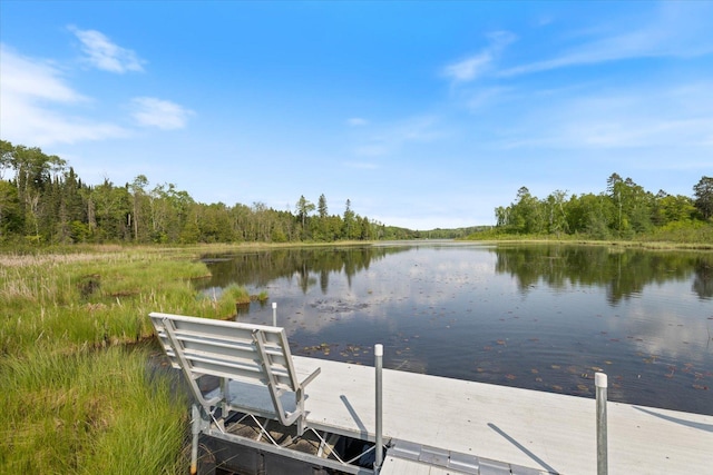 32305 Little E Lake Rd, Bigfork, MN 56628 - dock area with a view of trees and a water view