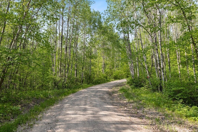 32305 Little E Lake Rd, Bigfork, MN 56628 - view of dirt / gravel road featuring a wooded view