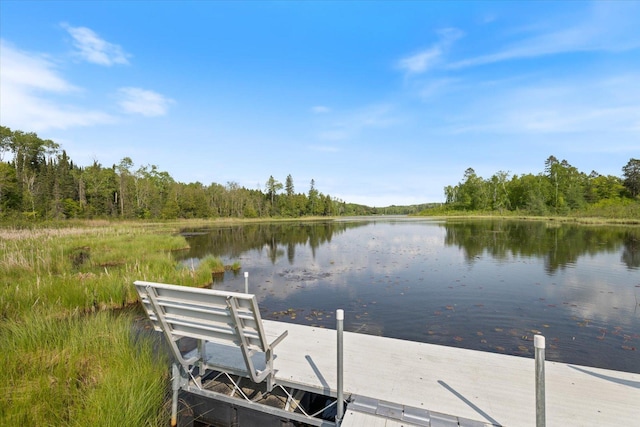 32305 Little E Lake Rd, Bigfork, MN 56628 - dock area featuring a wooded view and a water view