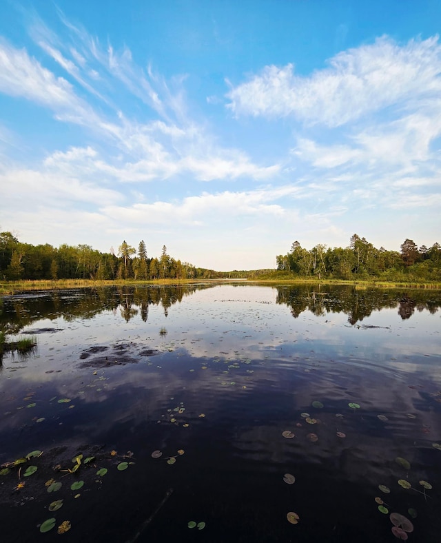 32305 Little E Lake Rd, Bigfork, MN 56628 - water view