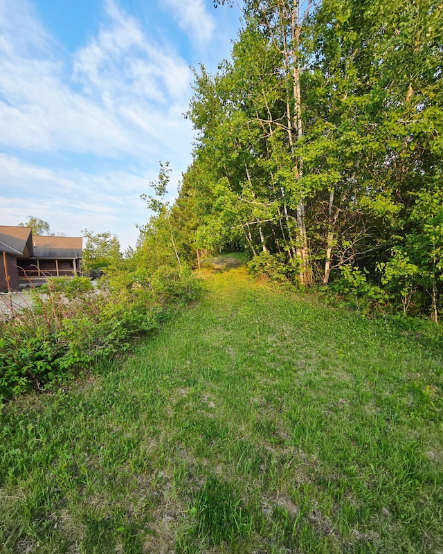 32305 Little E Lake Rd, Bigfork, MN 56628 - view of yard