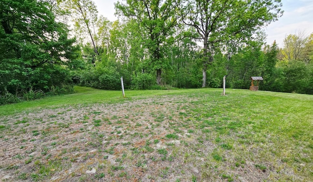 32305 Little E Lake Rd, Bigfork, MN 56628 - view of green lawn
