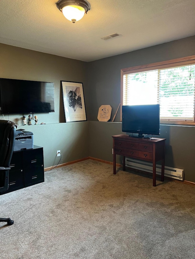 728 7th St, Litchfield, MN 55355 - office featuring a baseboard radiator, carpet flooring, and baseboards