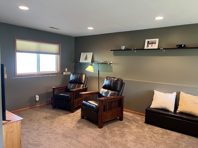 728 7th St, Litchfield, MN 55355 - living area with carpet, recessed lighting, and baseboards