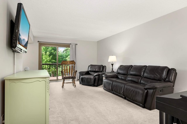 4839 Spring Cir, Minnetonka, MN 55345 - living room featuring light carpet