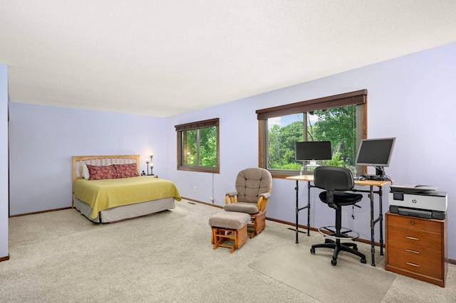 4839 Spring Cir, Minnetonka, MN 55345 - bedroom with light colored carpet and multiple windows