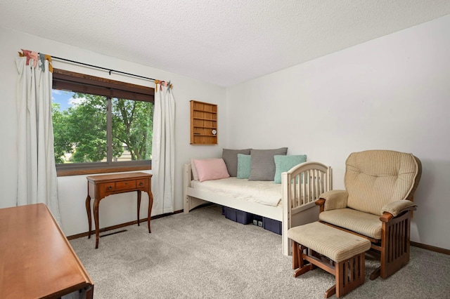 4839 Spring Cir, Minnetonka, MN 55345 - living area featuring carpet floors and a textured ceiling