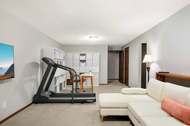 4839 Spring Cir, Minnetonka, MN 55345 - exercise room featuring carpet and a textured ceiling