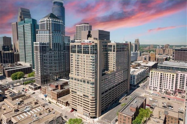 433 7th St Unit 2317, Minneapolis, MN 55415 - view of city