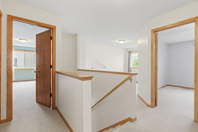 1650 Patriot Ln, Waconia, MN 55387 - photo 20