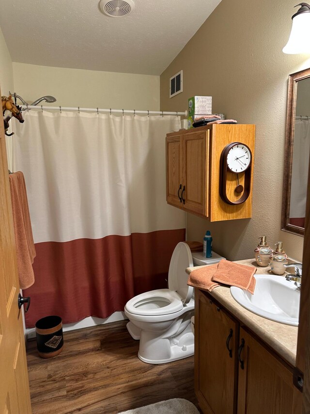 21250 Farm View Dr, Park Rapids, MN 56470 - bathroom featuring wood finished floors, toilet, vanity, and curtained shower