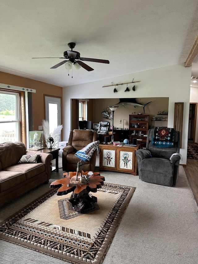 21250 Farm View Dr, Park Rapids, MN 56470 - carpeted living area featuring a ceiling fan