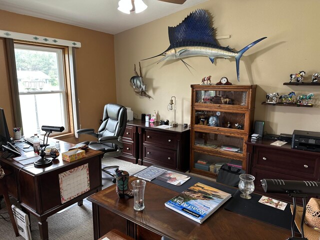 21250 Farm View Dr, Park Rapids, MN 56470 - view of office area
