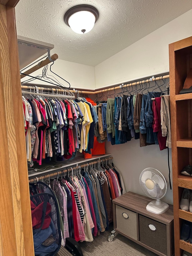 21250 Farm View Dr, Park Rapids, MN 56470 - walk in closet with carpet