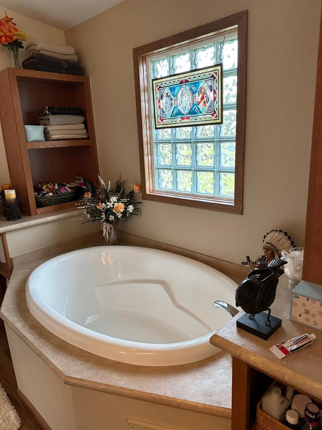 21250 Farm View Dr, Park Rapids, MN 56470 - bathroom with healthy amount of natural light and a garden tub
