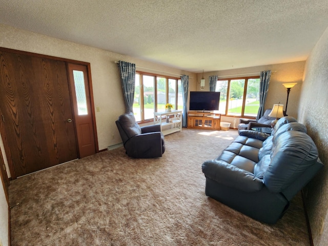 25 3rd Ave NE, Plainview, MN 55964 - living area featuring a textured ceiling, carpet flooring, and a baseboard radiator