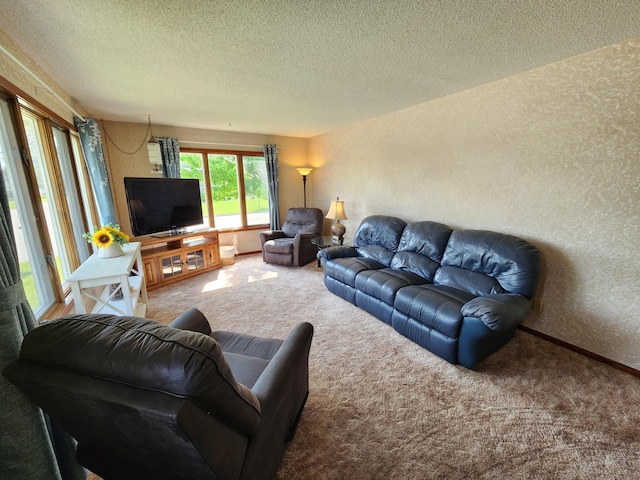 25 3rd Ave NE, Plainview, MN 55964 - living area featuring a textured wall, carpet, a textured ceiling, and baseboards