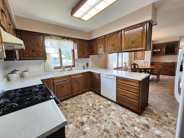 25 3rd Ave NE, Plainview, MN 55964 - kitchen with dishwasher, a sink, under cabinet range hood, and plenty of natural light
