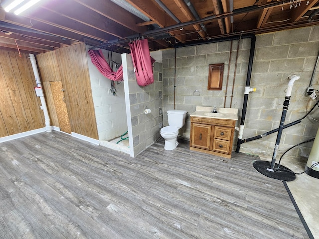 25 3rd Ave NE, Plainview, MN 55964 - unfinished below grade area featuring a sink, wood finished floors, concrete block wall, and wood walls