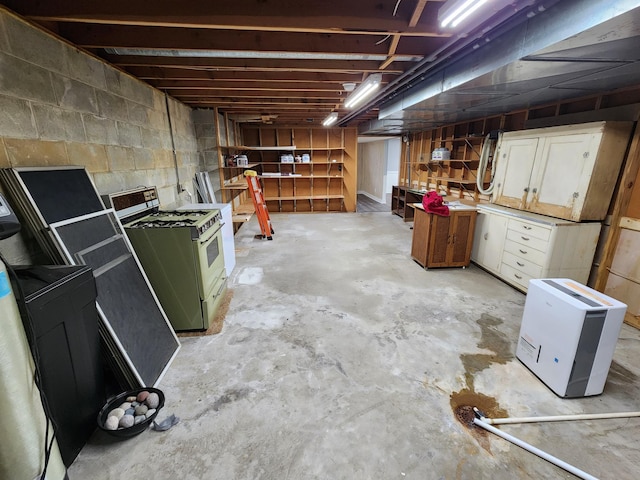 25 3rd Ave NE, Plainview, MN 55964 - view of unfinished basement