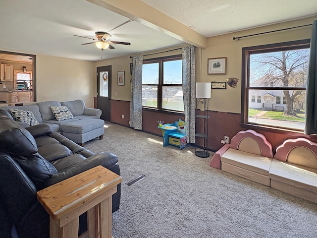 20 1st St, Luck, WI 54853 - carpeted living room featuring plenty of natural light and ceiling fan