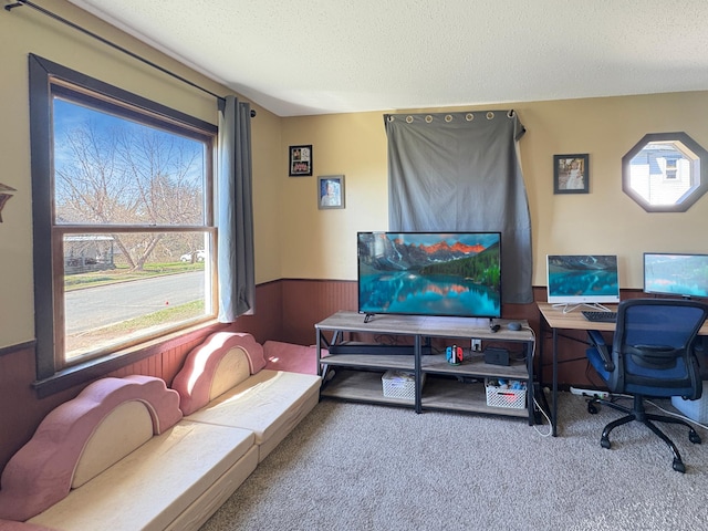 20 1st St, Luck, WI 54853 - carpeted home office featuring wainscoting, a textured ceiling, and wood walls