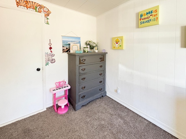 20 1st St, Luck, WI 54853 - game room with carpet flooring