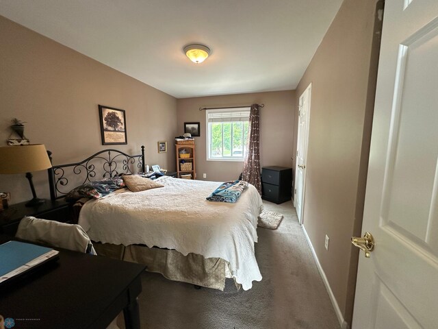 44556 Mcgowan Estates Rd, Rush Lake Twp, MN 56571 - view of carpeted bedroom