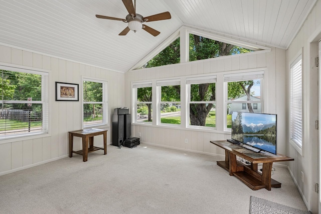 611 Sumter Ave S, Golden Valley, MN 55426 - sunroom / solarium featuring lofted ceiling, carpet flooring, and wooden ceiling