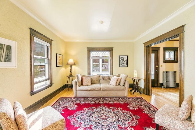 1311 Monroe St NE, Minneapolis, MN 55413 - living room featuring radiator heating unit, crown molding, wood finished floors, and baseboards