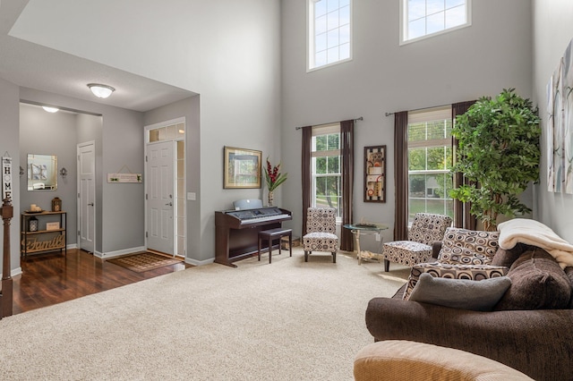 8607 Portage Ln E, Shakopee, MN 55379 - carpeted living room featuring healthy amount of natural light, a high ceiling, baseboards, and wood finished floors