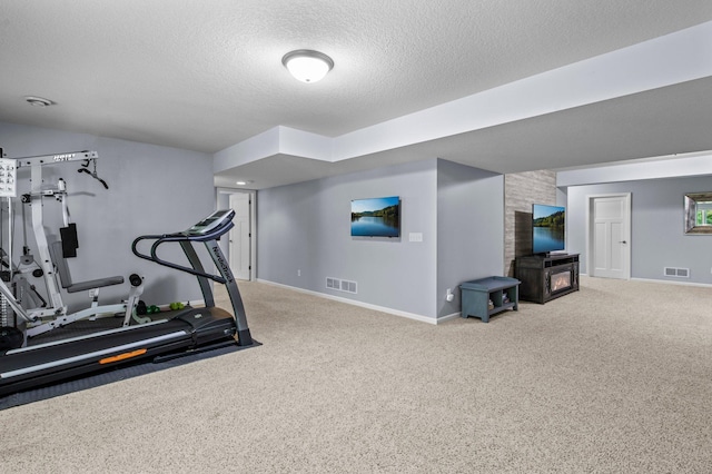 8607 Portage Ln E, Shakopee, MN 55379 - exercise room with carpet floors, baseboards, and a textured ceiling