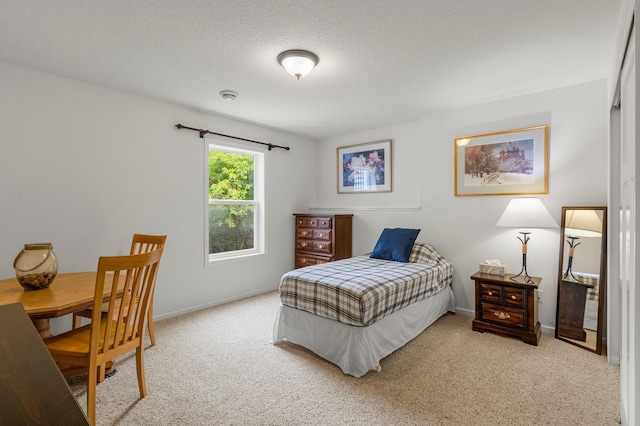 8607 Portage Ln E, Shakopee, MN 55379 - carpeted bedroom featuring baseboards and a textured ceiling
