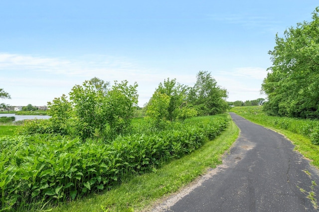8607 Portage Ln E, Shakopee, MN 55379 - view of street with a water view