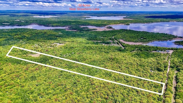 TBDParcelA Cherry Lake Road, Maple Grove Twp, MN 56569